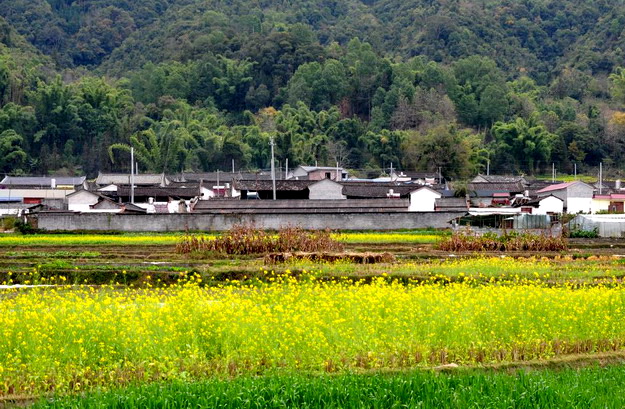 梁河县九保阿昌族乡那峦村