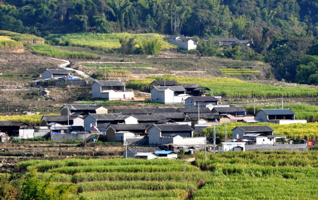 梁河县芒东镇羊角酸村（田缘村）
