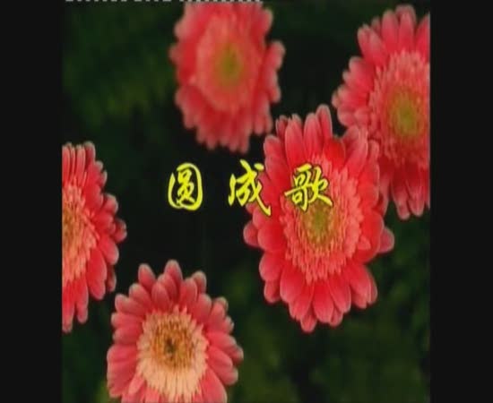 圆成歌